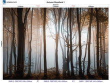 Load image into Gallery viewer, Altro Whiterock Digiclad Kit Autumn Woodland 1 - Altrodirect
