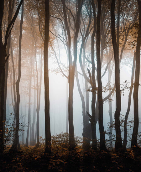 Altro Whiterock Digiclad Kit Autumn Woodland 1 - Altrodirect