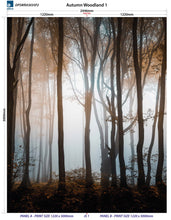 Load image into Gallery viewer, Altro Whiterock Digiclad Kit Autumn Woodland 1 - Altrodirect
