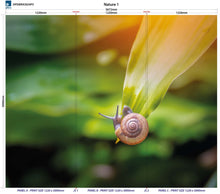 Load image into Gallery viewer, Altro Whiterock Digiclad Kit Nature 1 - Altrodirect

