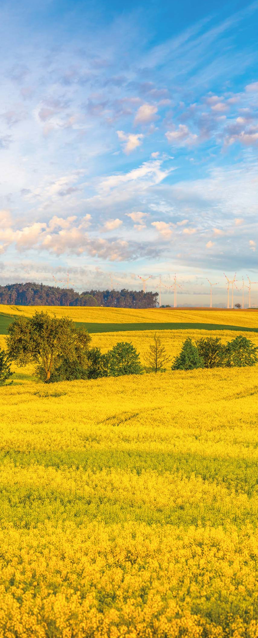 Altro Whiterock Digiclad Kit Spring Landscape 1 - Altrodirect