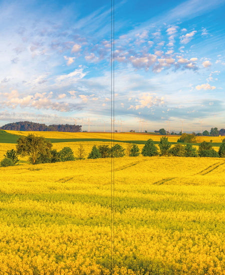 Altro Whiterock Digiclad Kit Spring Landscape 1 - Altrodirect