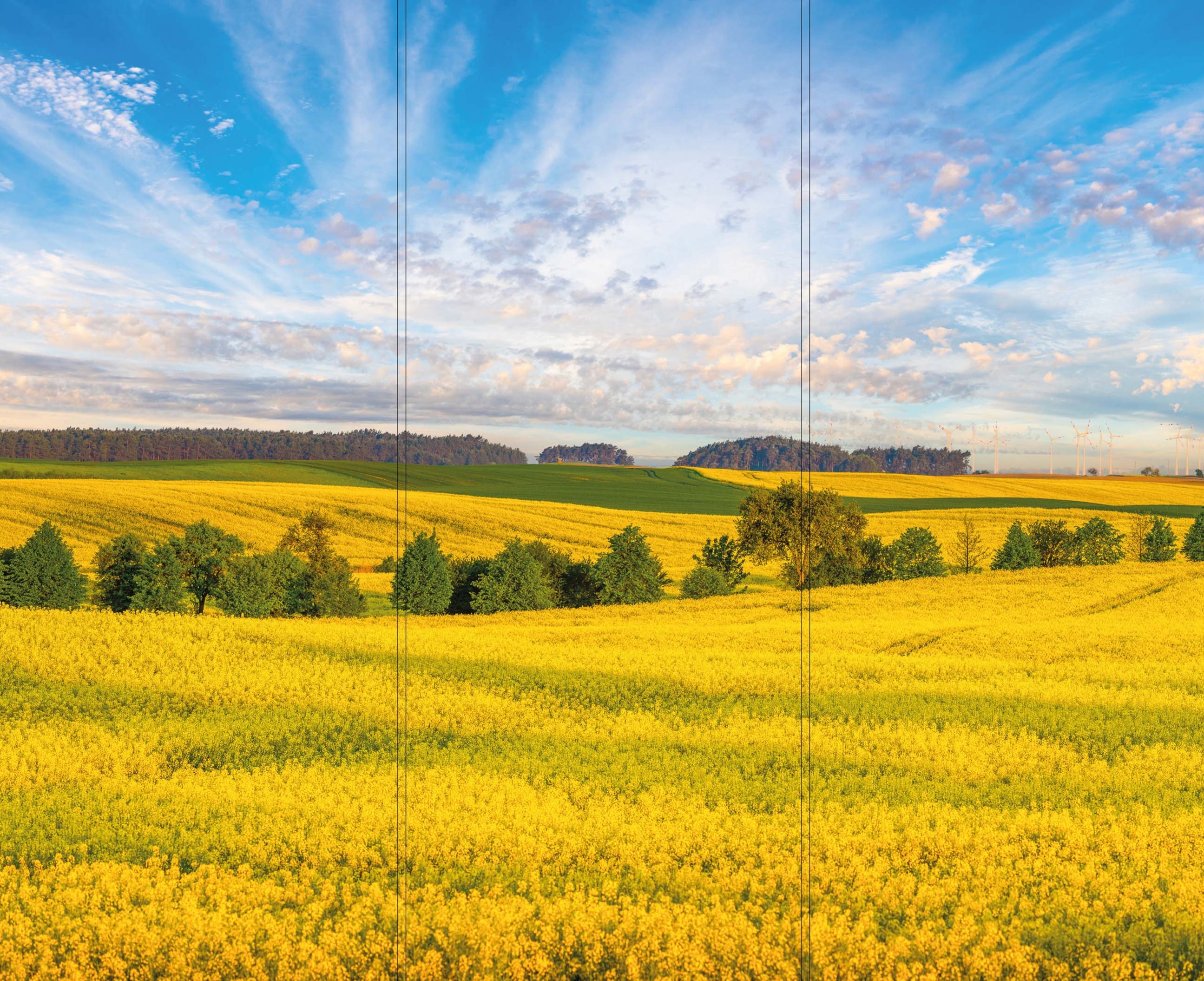 Altro Whiterock Digiclad Kit Spring Landscape 1 - Altrodirect
