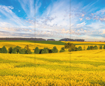Altro Whiterock Digiclad Kit Spring Landscape 1 - Altrodirect