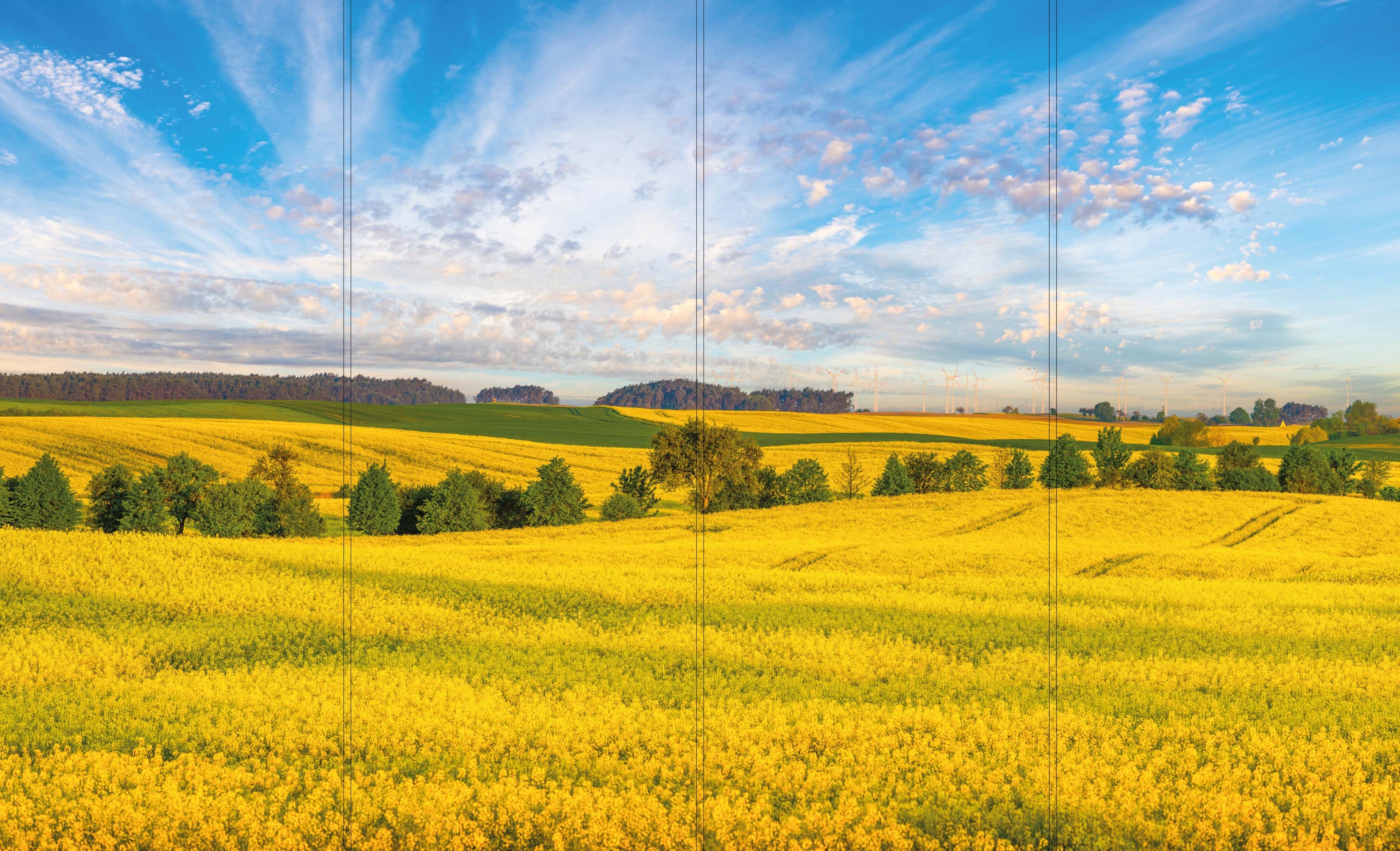 Altro Whiterock Digiclad Kit Spring Landscape 1 - Altrodirect