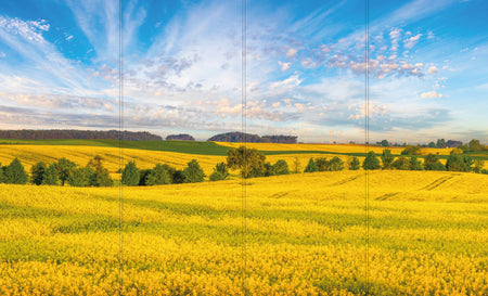Altro Whiterock Digiclad Kit Spring Landscape 1 - Altrodirect