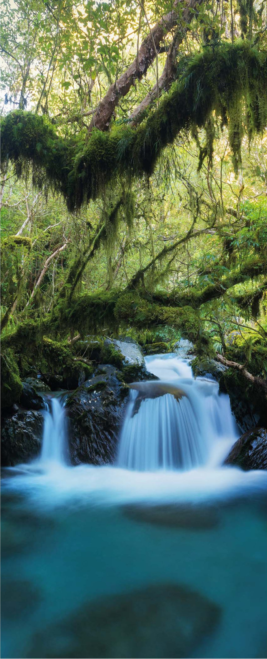 Altro Whiterock Digiclad Kit Spring Woodland Waterfall 1 - Altrodirect