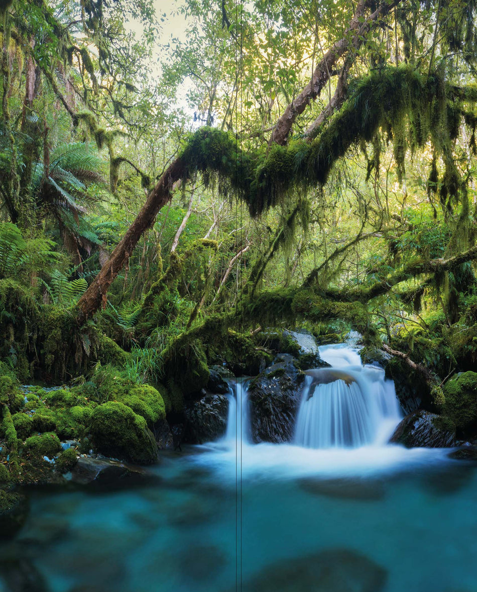 Altro Whiterock Digiclad Kit Spring Woodland Waterfall 1 - Altrodirect