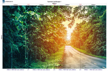 Load image into Gallery viewer, Altro Whiterock Digiclad Kit Summer Landscape 1 - Altrodirect
