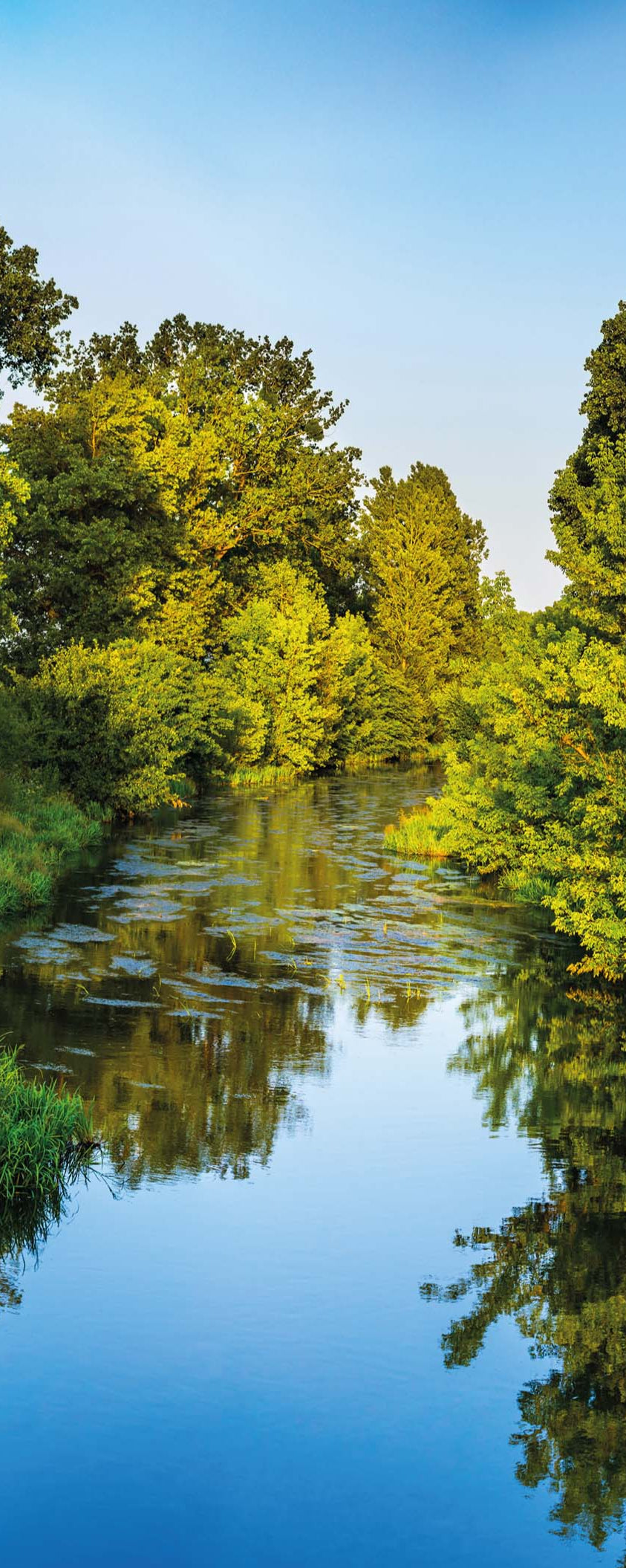 Altro Whiterock Digiclad Kit Summer Landscape 2 - Altrodirect