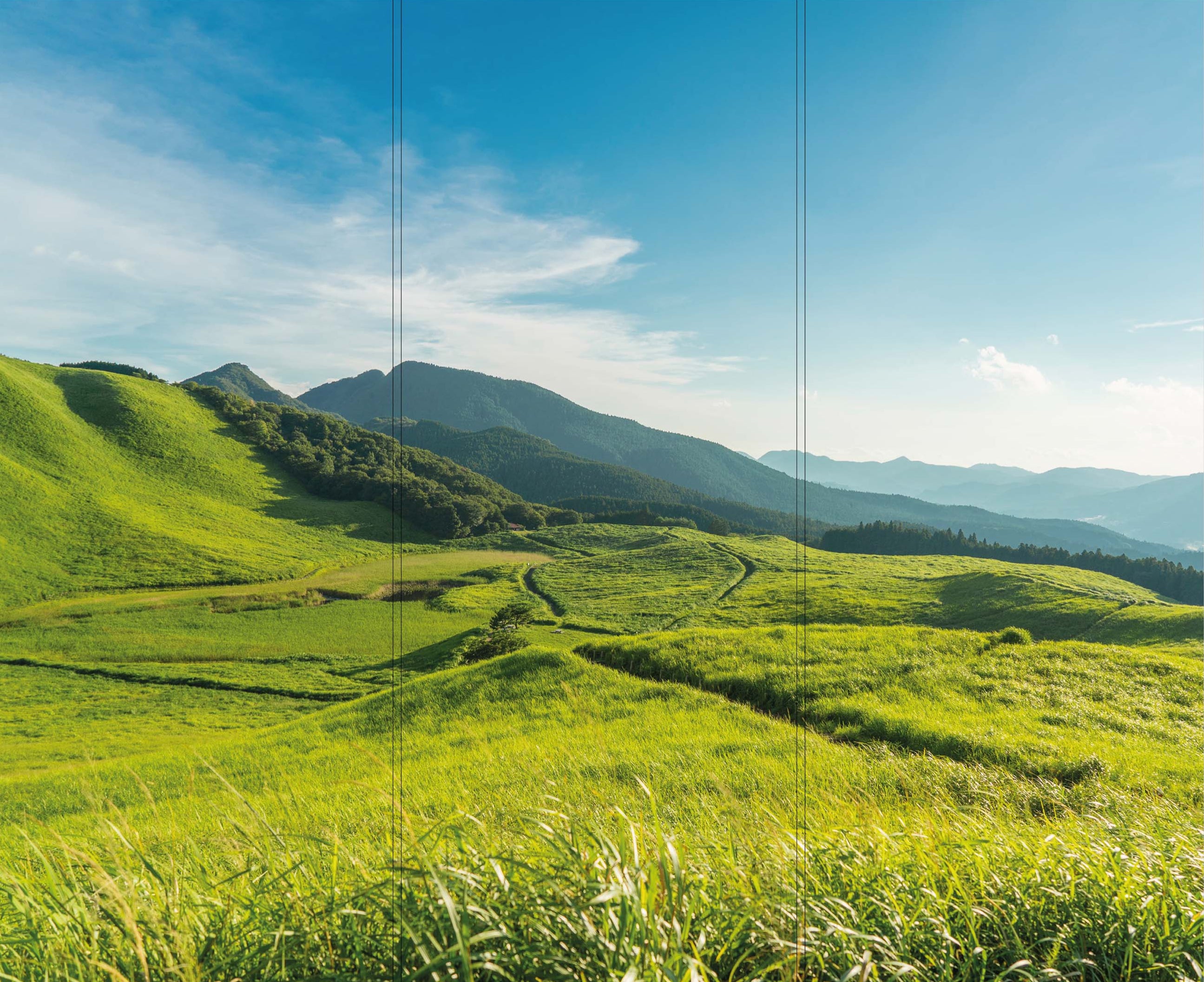 Altro Whiterock Digiclad Kit Summer Landscape 6 - Altrodirect