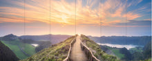 Load image into Gallery viewer, Altro Whiterock Digiclad Kit Summer Landscape 7 - Altrodirect
