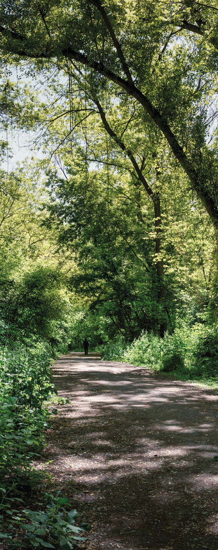 Altro Whiterock Digiclad Kit Summer Woodland 1 - Altrodirect