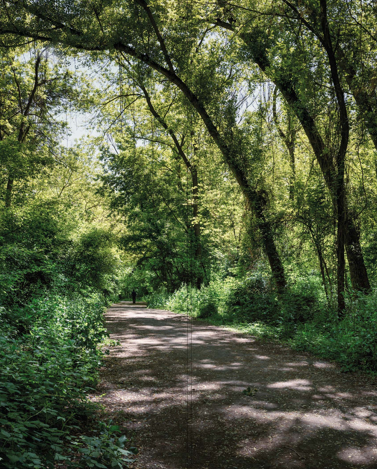Altro Whiterock Digiclad Kit Summer Woodland 1 - Altrodirect
