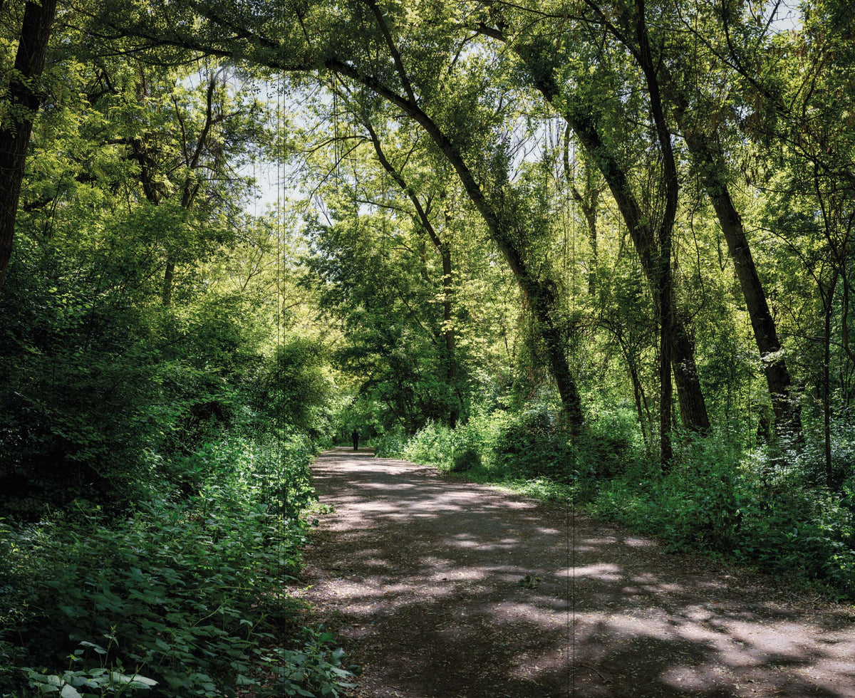 Altro Whiterock Digiclad Kit Summer Woodland 1 - Altrodirect