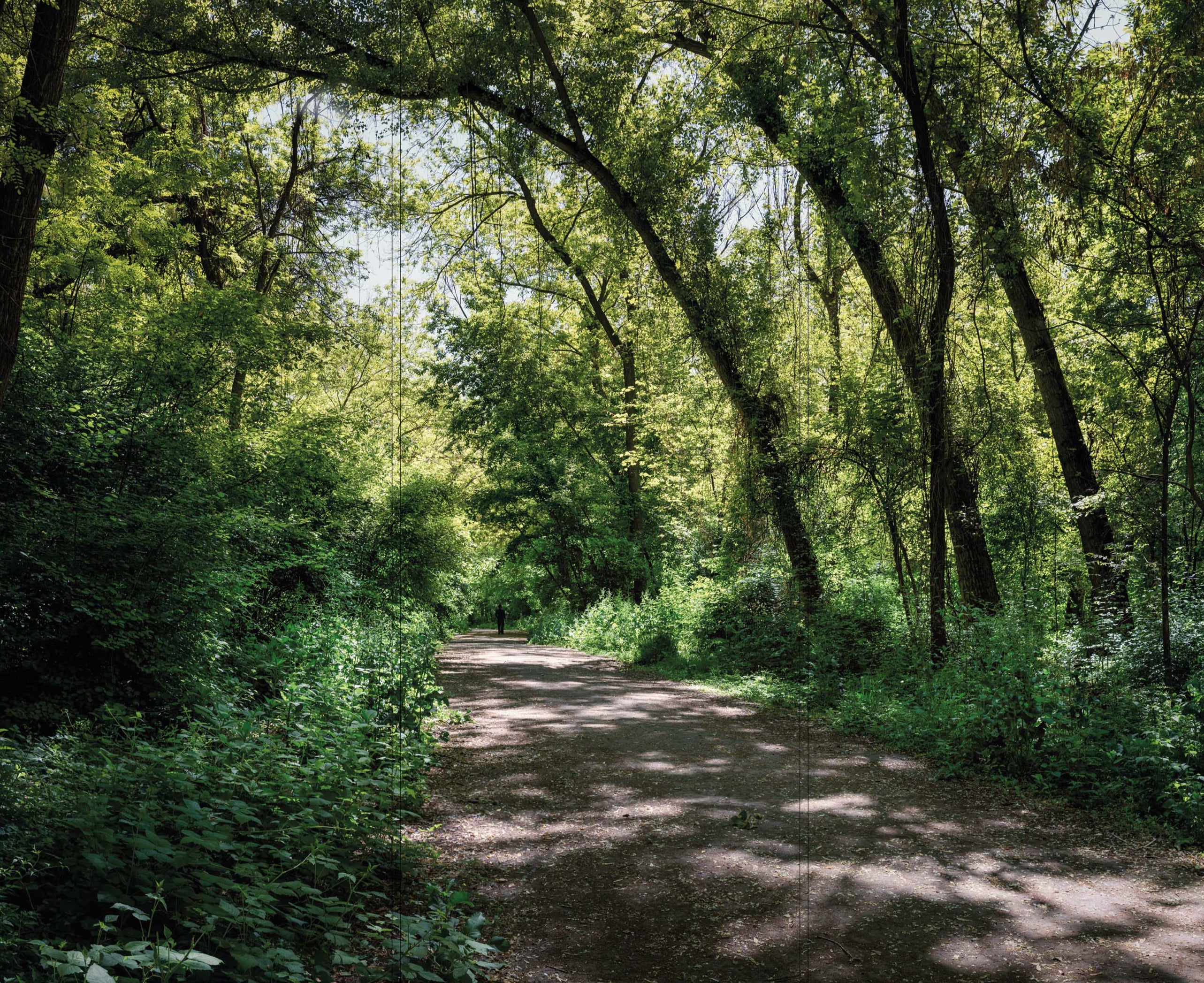 Altro Whiterock Digiclad Kit Summer Woodland 1 - Altrodirect