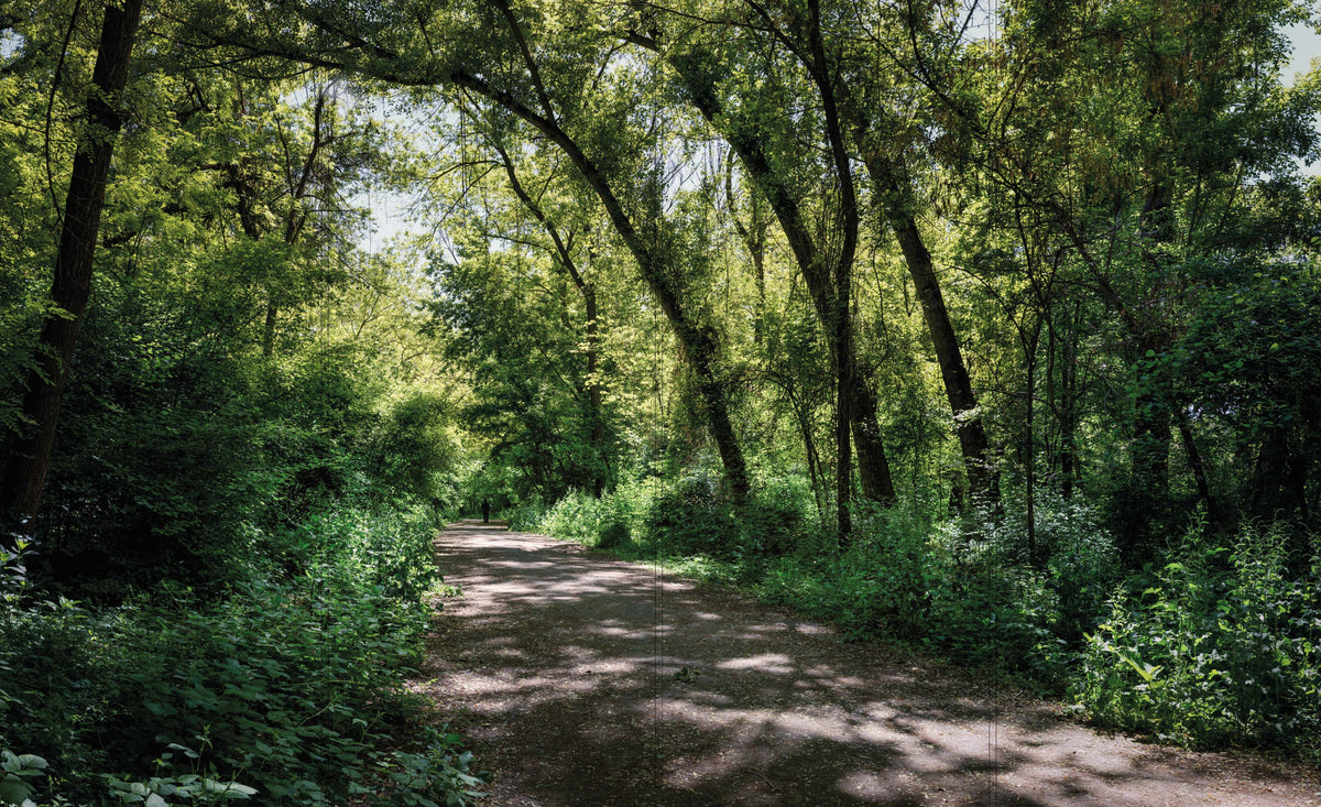Altro Whiterock Digiclad Kit Summer Woodland 1 - Altrodirect