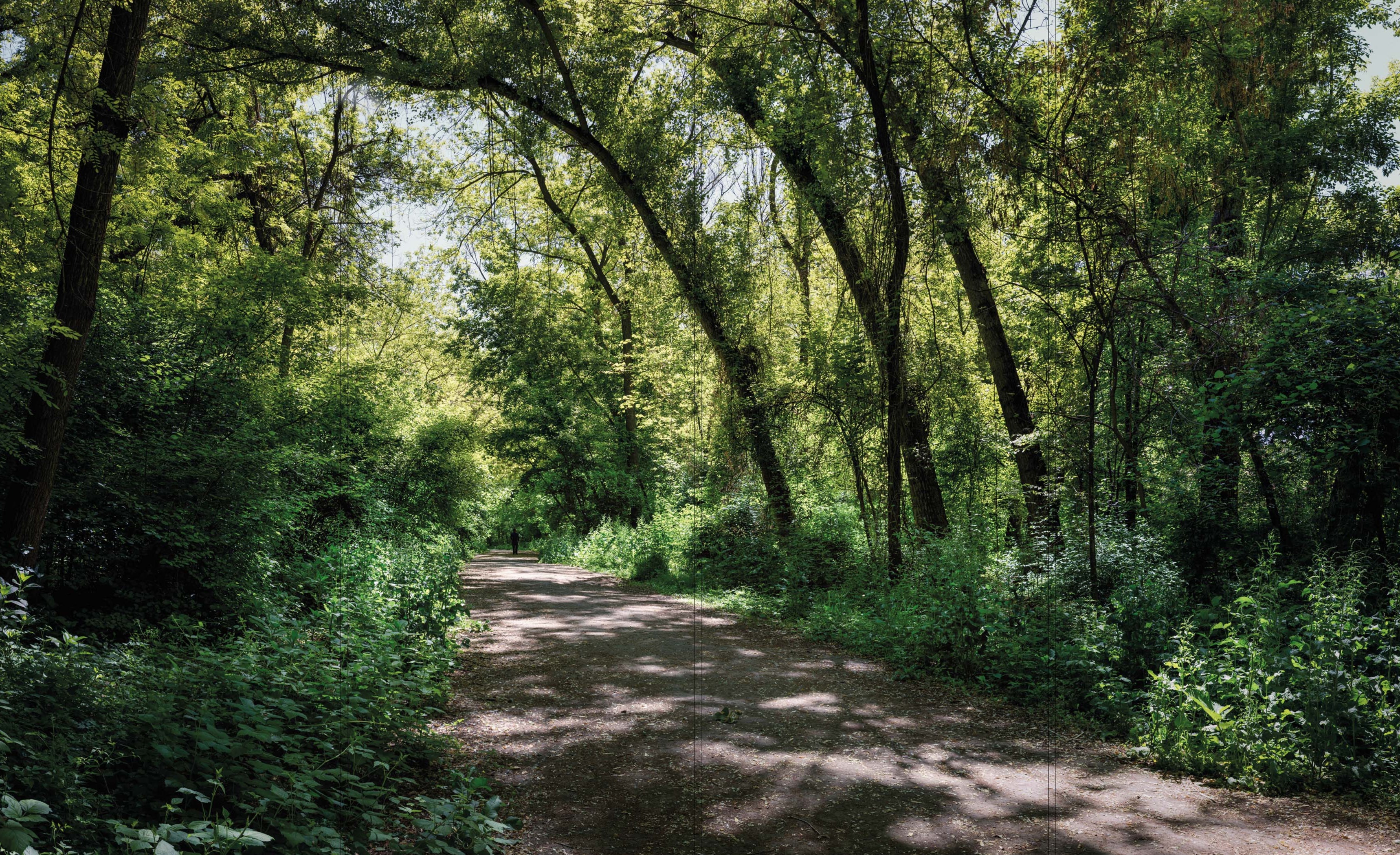 Altro Whiterock Digiclad Kit Summer Woodland 1 - Altrodirect
