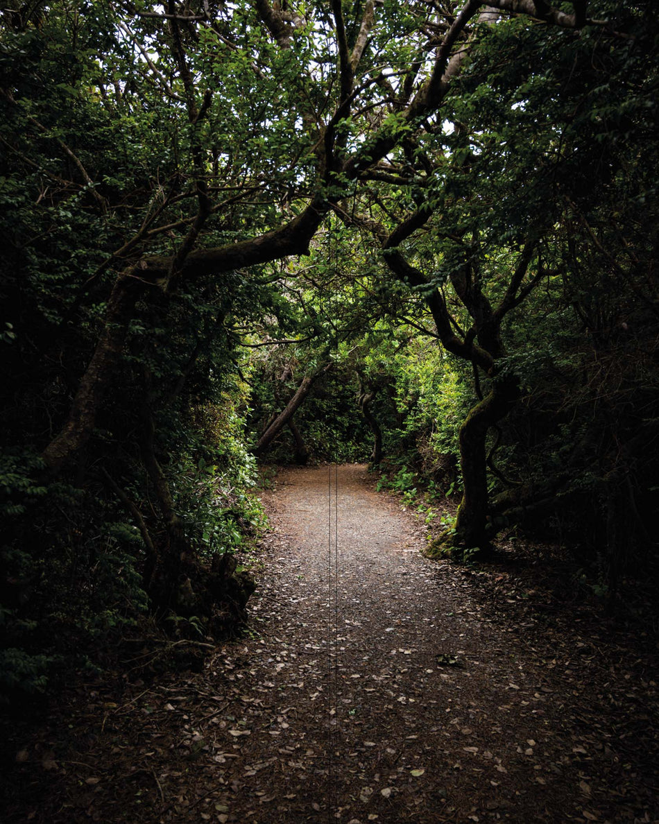 Altro Whiterock Digiclad Kit Summer Woodland 2 - Altrodirect
