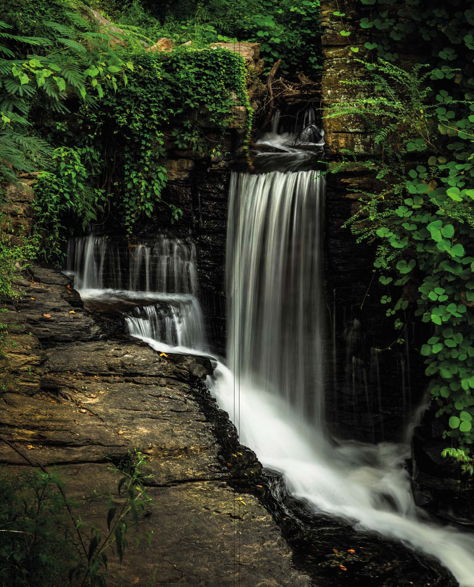 Altro Whiterock Digiclad Kit Summer Woodland Water 2 - Altrodirect