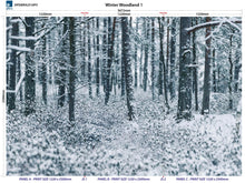 Load image into Gallery viewer, Altro Whiterock Digiclad Kit Winter Woodland 1 - Altrodirect
