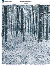 Load image into Gallery viewer, Altro Whiterock Digiclad Kit Winter Woodland 1 - Altrodirect

