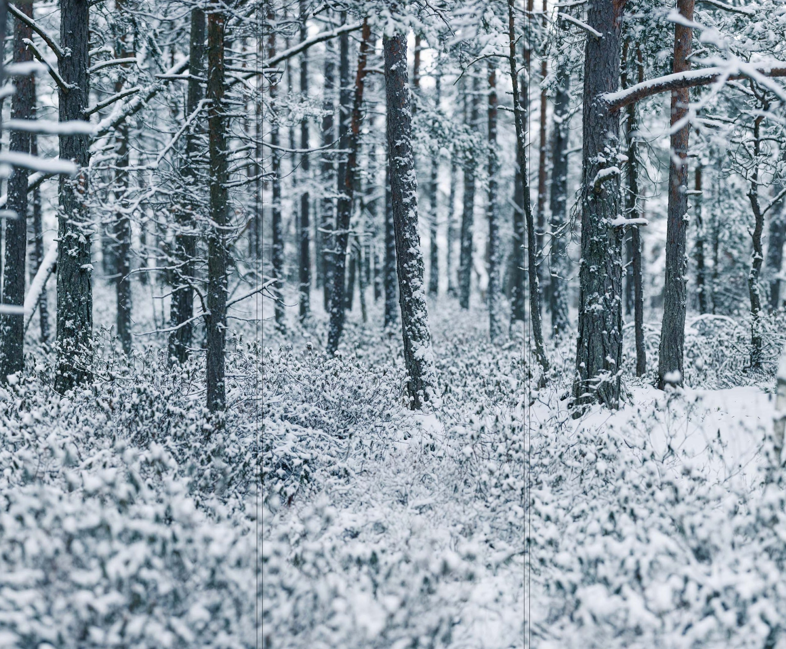 Altro Whiterock Digiclad Kit Winter Woodland 1 - Altrodirect
