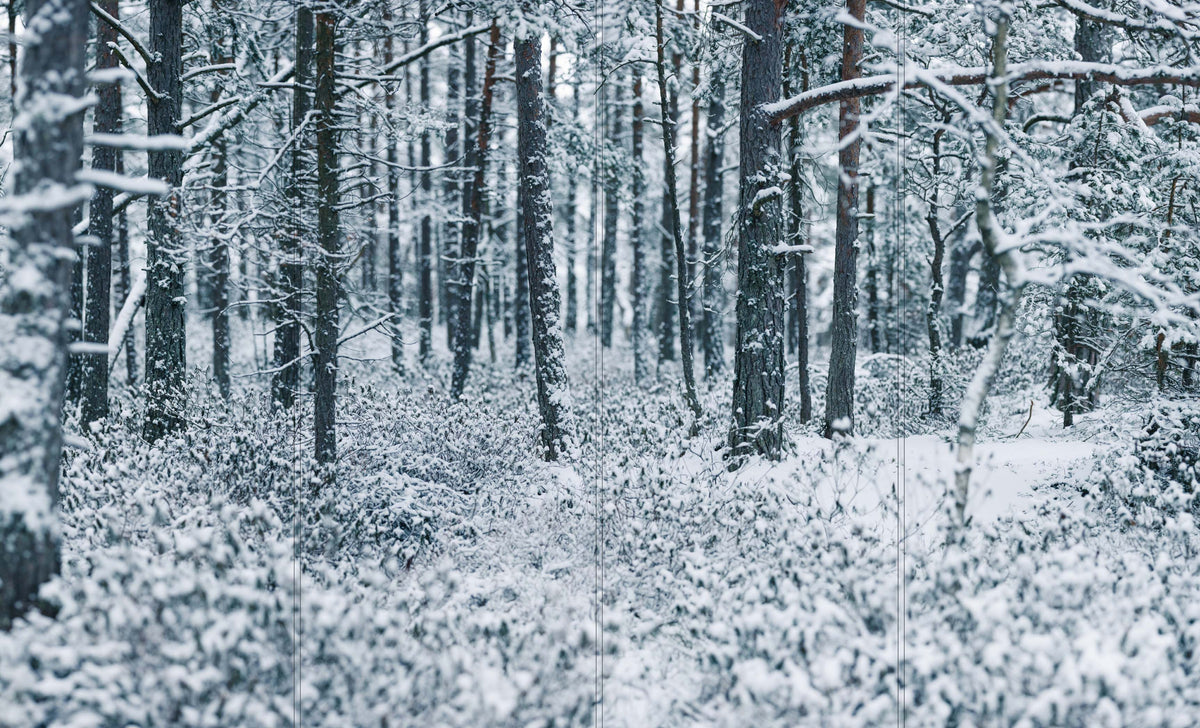 Altro Whiterock Digiclad Kit Winter Woodland 1 - Altrodirect